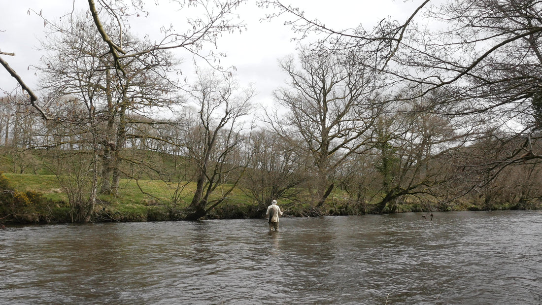 Welcome to the new site