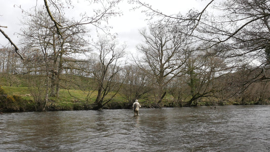 Welcome to the new site