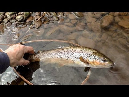 Superfast 8ft 5wt