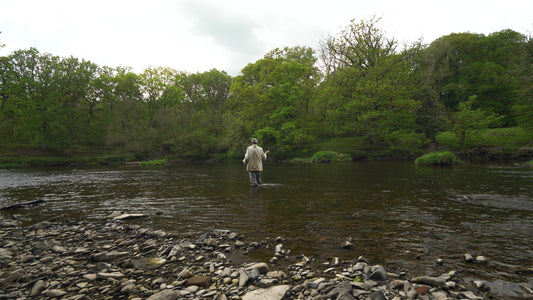 Carbon 10ft 4wt